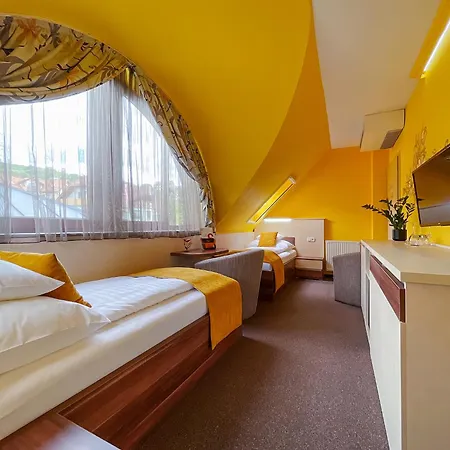Mayer Hotel 3*